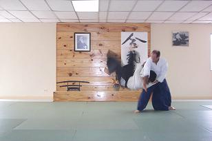 Manuel Ruiz Medica aikido sensei