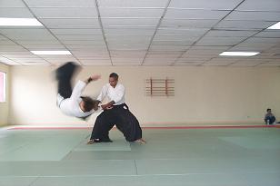 sensei virgilio aikido master